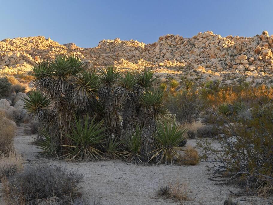 Panoramic Heaven - Luxury Designer Property W Spa Joshua Tree Extérieur photo