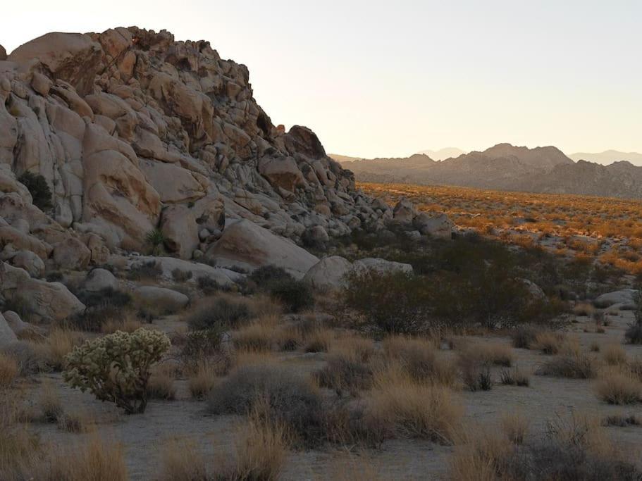 Panoramic Heaven - Luxury Designer Property W Spa Joshua Tree Extérieur photo