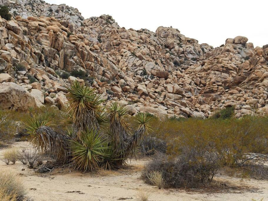 Panoramic Heaven - Luxury Designer Property W Spa Joshua Tree Extérieur photo