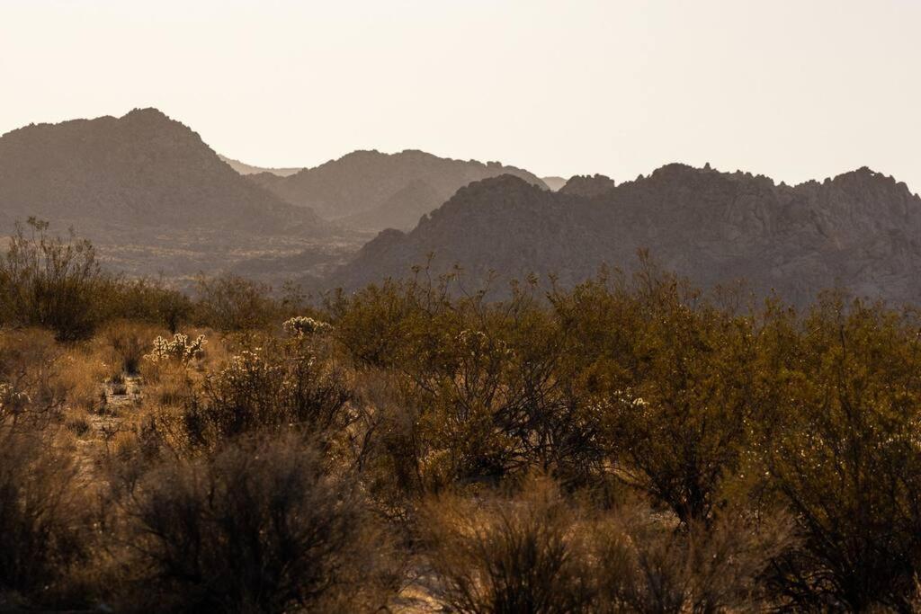 Panoramic Heaven - Luxury Designer Property W Spa Joshua Tree Extérieur photo