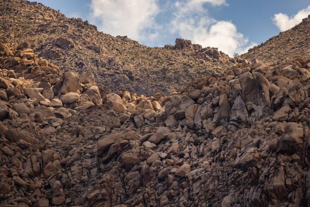 Panoramic Heaven - Luxury Designer Property W Spa Joshua Tree Extérieur photo